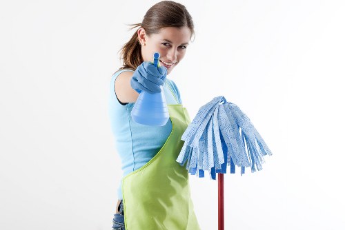 Professional cleaning company in Clapham working in a modern home