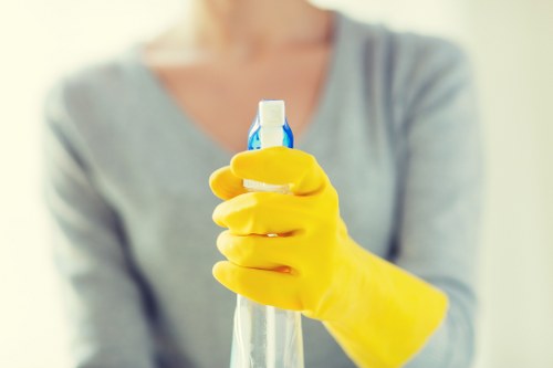 Deep cleaning tasks for a Clapham property