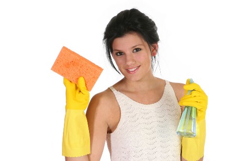Cleaning professional preparing equipment before a service appointment