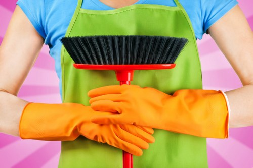 Professional home cleaners in Clapham working in a modern living room