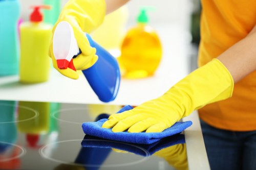 A professional cleaner reviewing a service complaint checklist