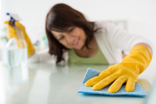 Cleaning staff carrying out a professional home cleaning task