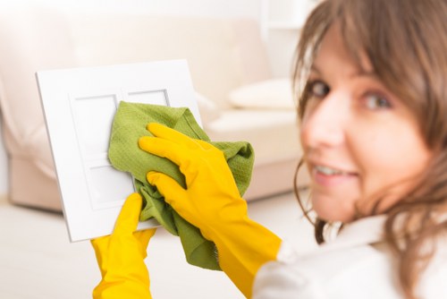 Cleaner removing grease from an oven in Clapham